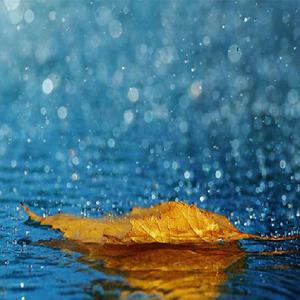 在线观看免费黄片兽人
